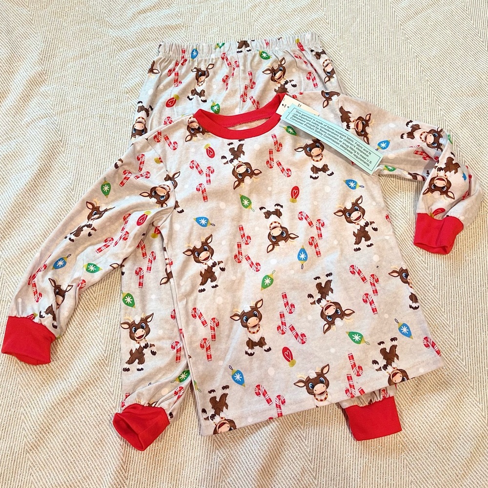 Reindeer In Here Toddler Kid Pajamas Set Sz 4 NWT